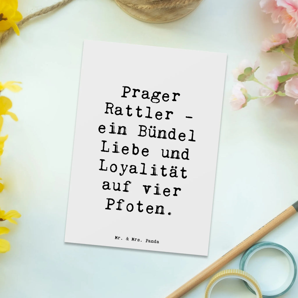 Postkarte Spruch Prager Rattler Postkarte, Karte, Geschenkkarte, Grußkarte, Einladung, Ansichtskarte, Geburtstagskarte, Einladungskarte, Dankeskarte, Ansichtskarten, Einladung Geburtstag, Einladungskarten Geburtstag, Hund, Hunderasse, Rassehund, Hundebesitzer, Geschenk, Tierfreund, Schenken, Welpe