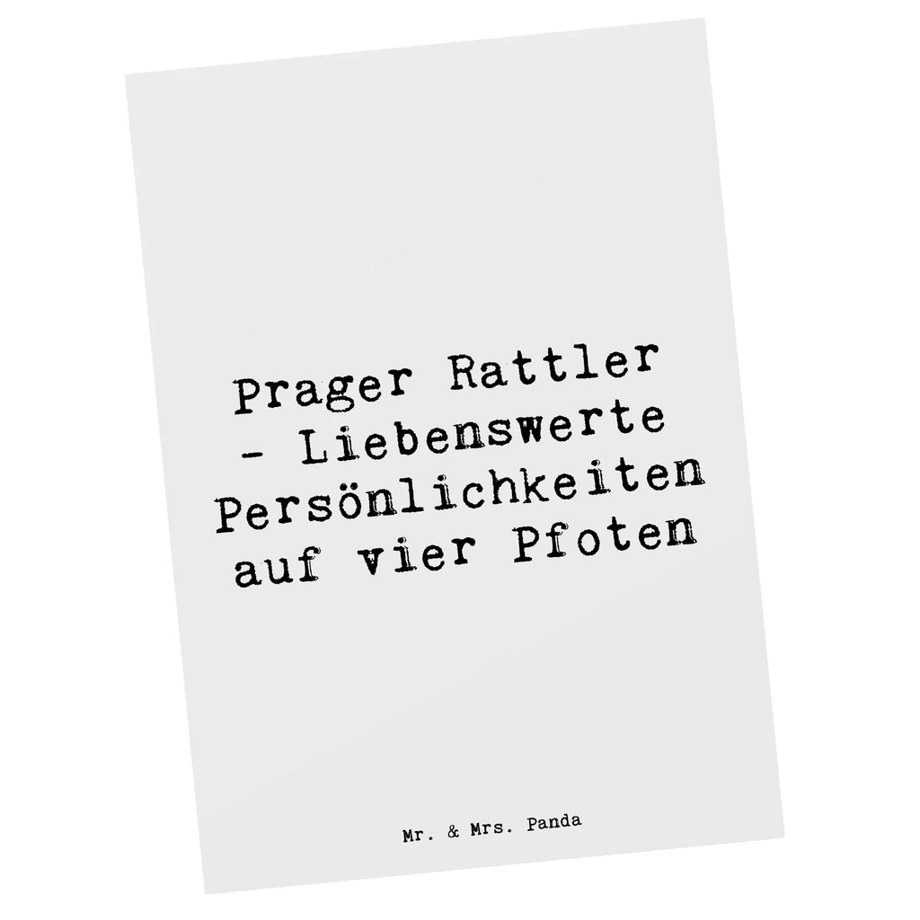 Postkarte Spruch Prager Rattler Postkarte, Karte, Geschenkkarte, Grußkarte, Einladung, Ansichtskarte, Geburtstagskarte, Einladungskarte, Dankeskarte, Ansichtskarten, Einladung Geburtstag, Einladungskarten Geburtstag, Hund, Hunderasse, Rassehund, Hundebesitzer, Geschenk, Tierfreund, Schenken, Welpe