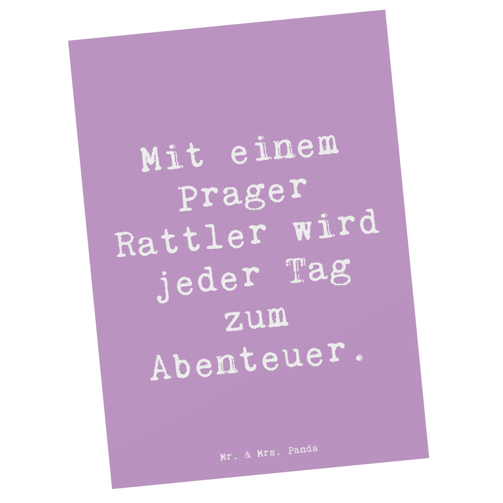 Postkarte Spruch Prager Rattler Abenteuer Postkarte, Karte, Geschenkkarte, Grußkarte, Einladung, Ansichtskarte, Geburtstagskarte, Einladungskarte, Dankeskarte, Ansichtskarten, Einladung Geburtstag, Einladungskarten Geburtstag, Hund, Hunderasse, Rassehund, Hundebesitzer, Geschenk, Tierfreund, Schenken, Welpe