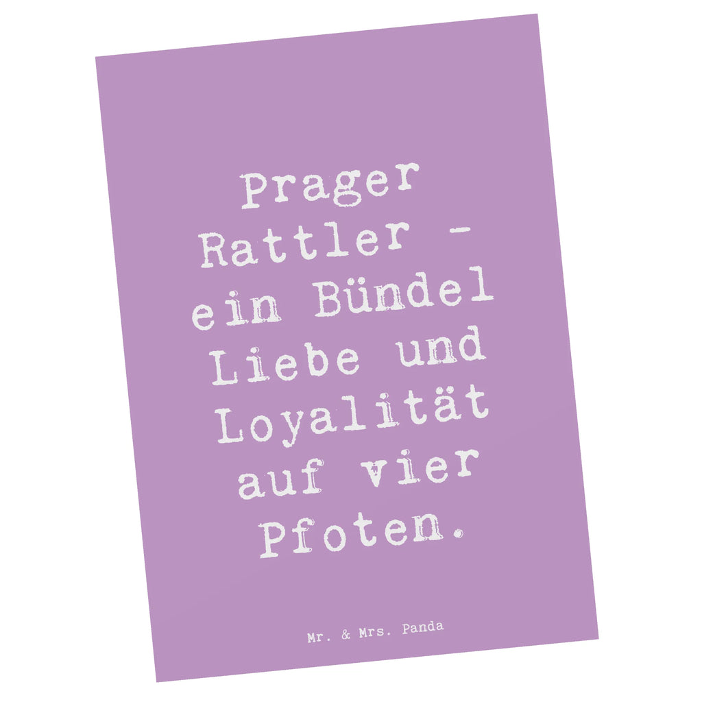 Postkarte Spruch Prager Rattler Postkarte, Karte, Geschenkkarte, Grußkarte, Einladung, Ansichtskarte, Geburtstagskarte, Einladungskarte, Dankeskarte, Ansichtskarten, Einladung Geburtstag, Einladungskarten Geburtstag, Hund, Hunderasse, Rassehund, Hundebesitzer, Geschenk, Tierfreund, Schenken, Welpe