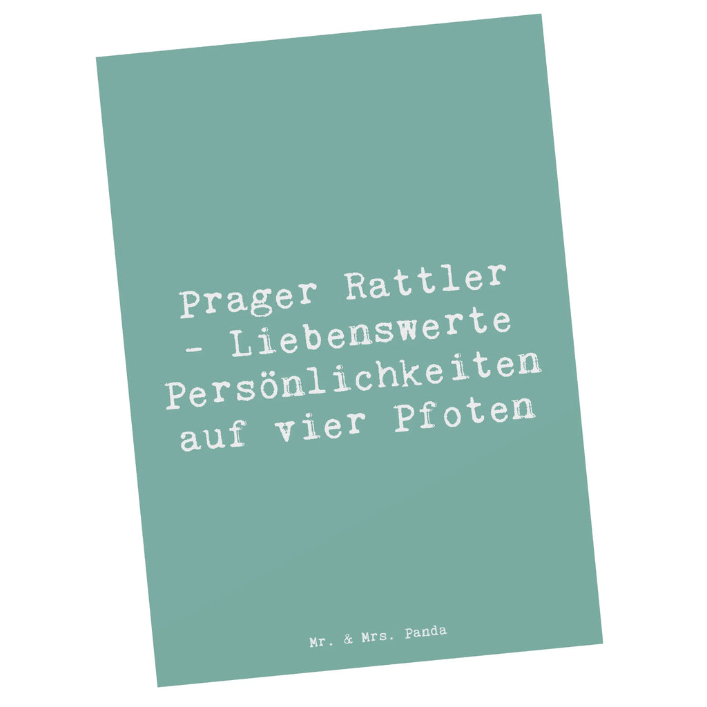 Postkarte Spruch Prager Rattler Postkarte, Karte, Geschenkkarte, Grußkarte, Einladung, Ansichtskarte, Geburtstagskarte, Einladungskarte, Dankeskarte, Ansichtskarten, Einladung Geburtstag, Einladungskarten Geburtstag, Hund, Hunderasse, Rassehund, Hundebesitzer, Geschenk, Tierfreund, Schenken, Welpe