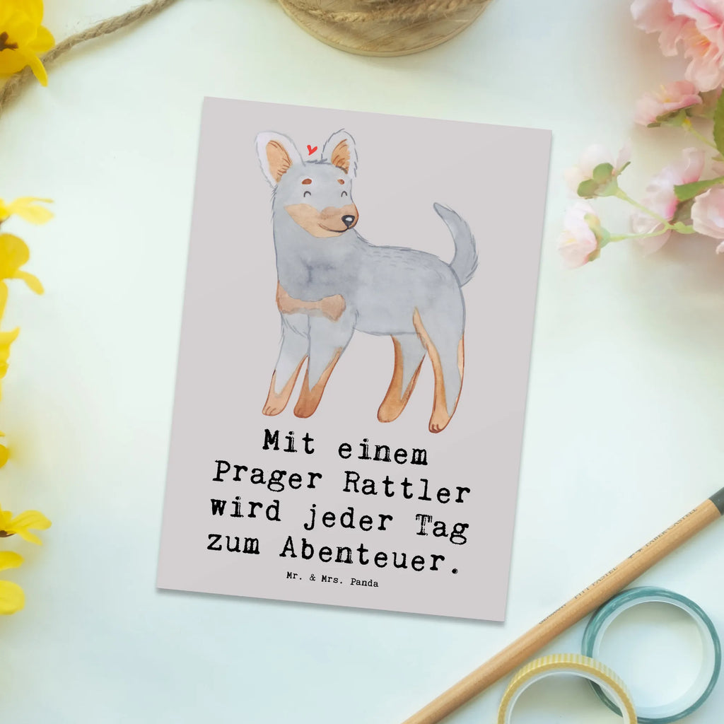 Postkarte Prager Rattler Abenteuer Postkarte, Karte, Geschenkkarte, Grußkarte, Einladung, Ansichtskarte, Geburtstagskarte, Einladungskarte, Dankeskarte, Ansichtskarten, Einladung Geburtstag, Einladungskarten Geburtstag, Hund, Hunderasse, Rassehund, Hundebesitzer, Geschenk, Tierfreund, Schenken, Welpe