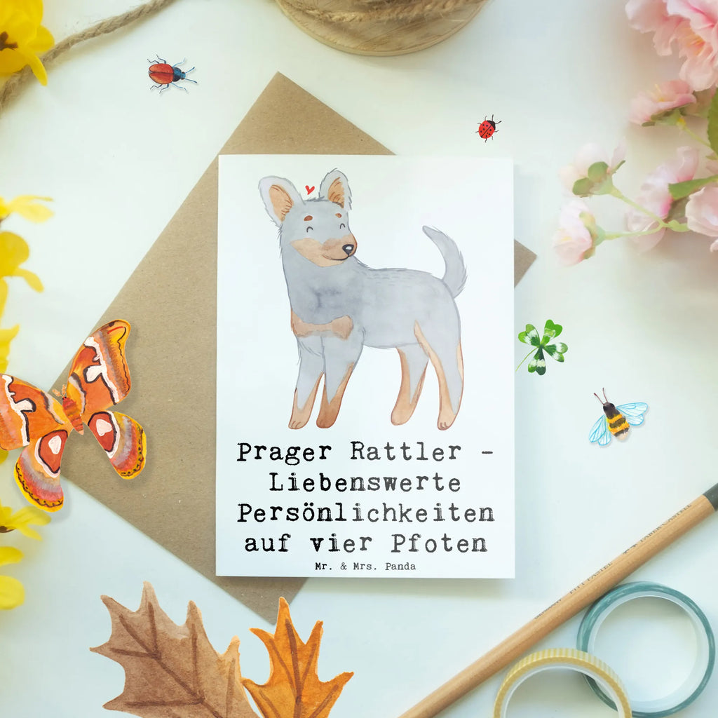 Grußkarte Prager Rattler Grußkarte, Klappkarte, Einladungskarte, Glückwunschkarte, Hochzeitskarte, Geburtstagskarte, Karte, Ansichtskarten, Hund, Hunderasse, Rassehund, Hundebesitzer, Geschenk, Tierfreund, Schenken, Welpe