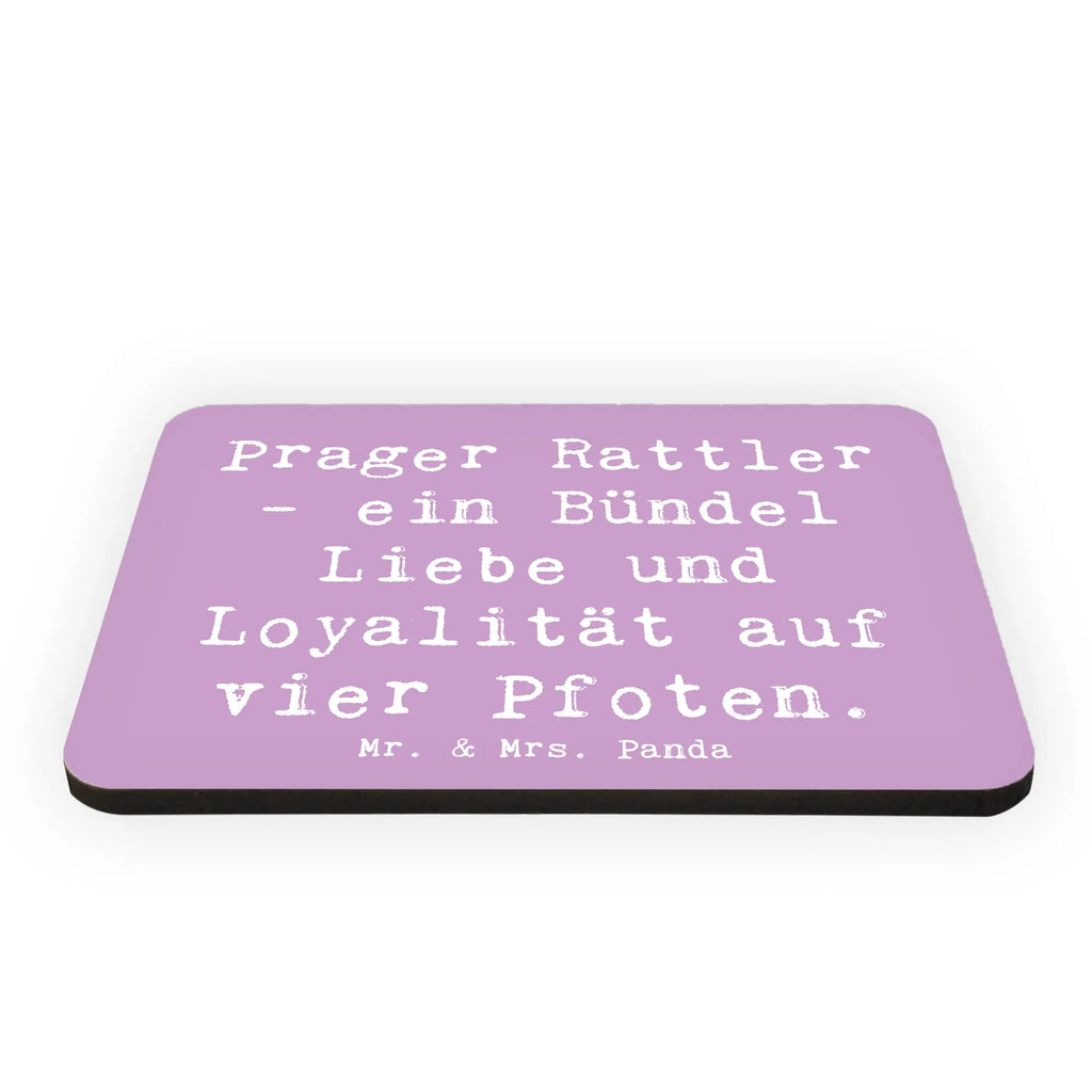 Magnet Spruch Prager Rattler Kühlschrankmagnet, Pinnwandmagnet, Souvenir Magnet, Motivmagnete, Dekomagnet, Whiteboard Magnet, Notiz Magnet, Kühlschrank Dekoration, Hund, Hunderasse, Rassehund, Hundebesitzer, Geschenk, Tierfreund, Schenken, Welpe