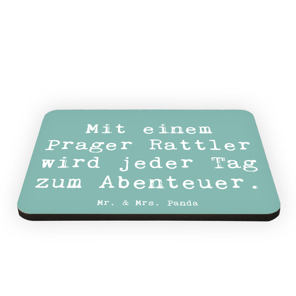 Magnet Spruch Prager Rattler Abenteuer Kühlschrankmagnet, Pinnwandmagnet, Souvenir Magnet, Motivmagnete, Dekomagnet, Whiteboard Magnet, Notiz Magnet, Kühlschrank Dekoration, Hund, Hunderasse, Rassehund, Hundebesitzer, Geschenk, Tierfreund, Schenken, Welpe