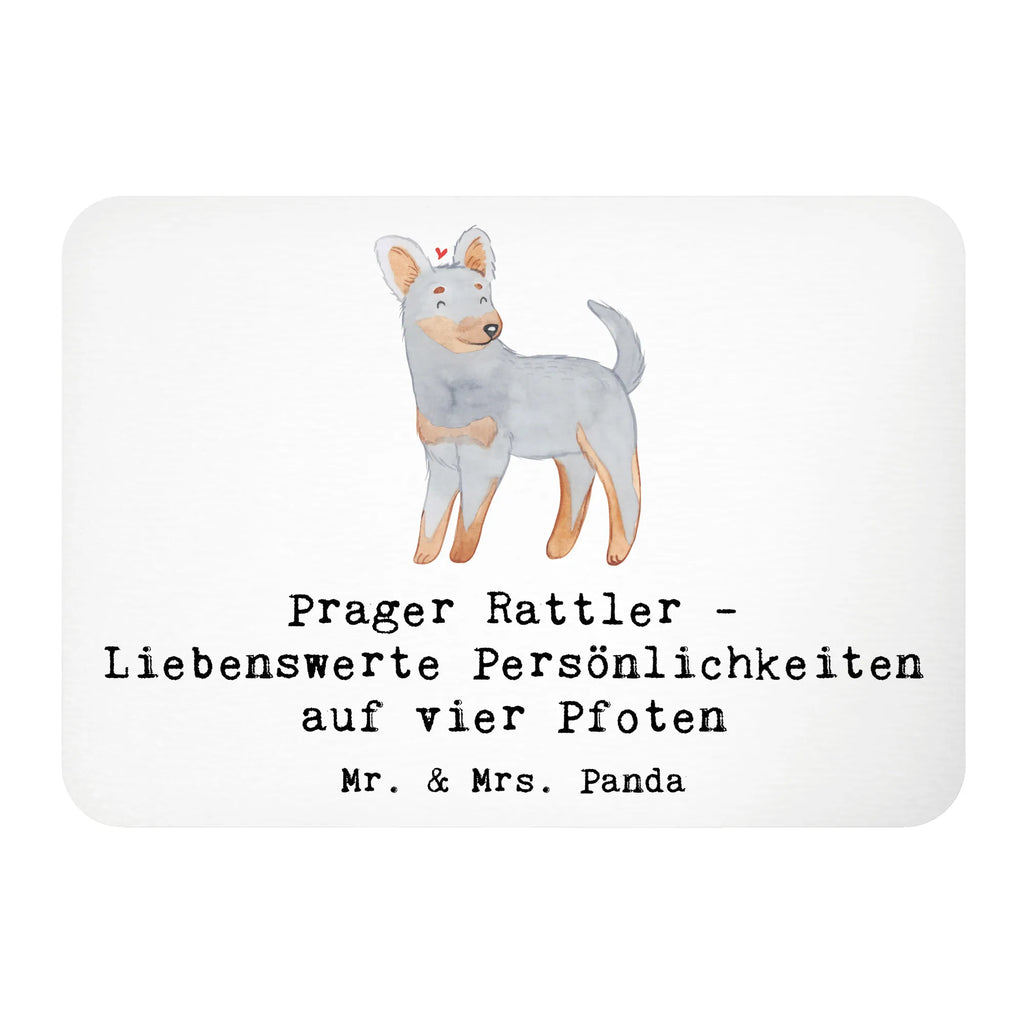 Magnet Prager Rattler Kühlschrankmagnet, Pinnwandmagnet, Souvenir Magnet, Motivmagnete, Dekomagnet, Whiteboard Magnet, Notiz Magnet, Kühlschrank Dekoration, Hund, Hunderasse, Rassehund, Hundebesitzer, Geschenk, Tierfreund, Schenken, Welpe