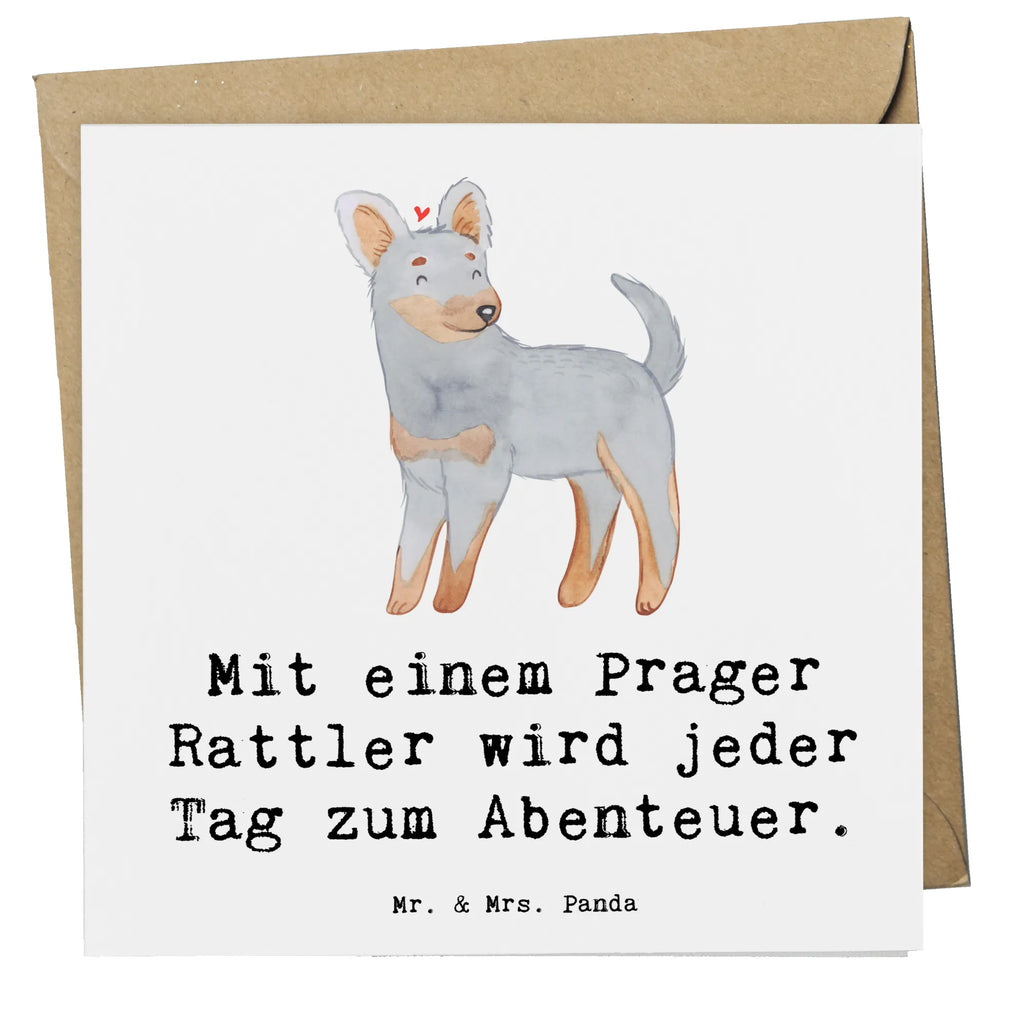 Deluxe Karte Prager Rattler Abenteuer Karte, Grußkarte, Klappkarte, Einladungskarte, Glückwunschkarte, Hochzeitskarte, Geburtstagskarte, Hochwertige Grußkarte, Hochwertige Klappkarte, Hund, Hunderasse, Rassehund, Hundebesitzer, Geschenk, Tierfreund, Schenken, Welpe