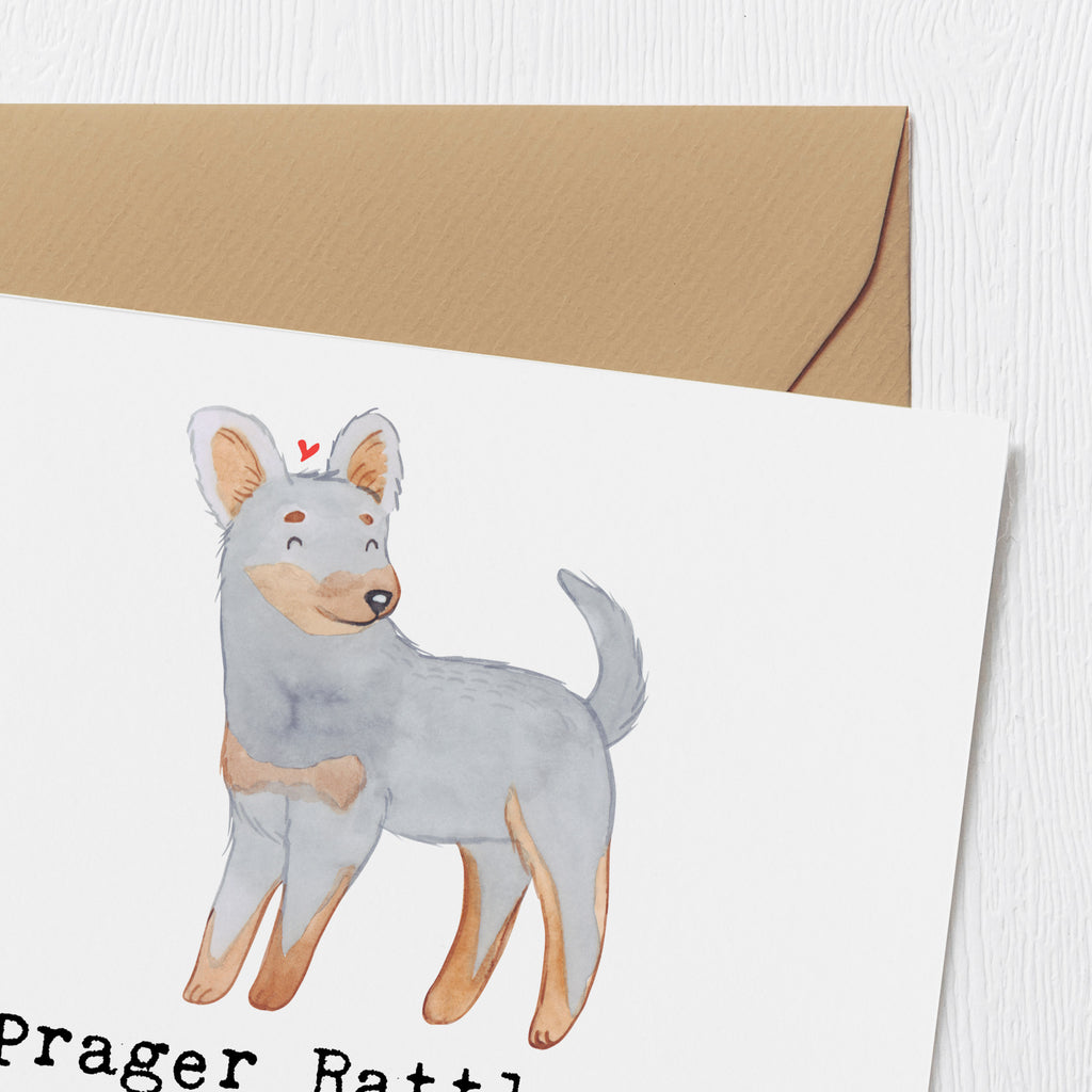 Deluxe Karte Prager Rattler Karte, Grußkarte, Klappkarte, Einladungskarte, Glückwunschkarte, Hochzeitskarte, Geburtstagskarte, Hochwertige Grußkarte, Hochwertige Klappkarte, Hund, Hunderasse, Rassehund, Hundebesitzer, Geschenk, Tierfreund, Schenken, Welpe