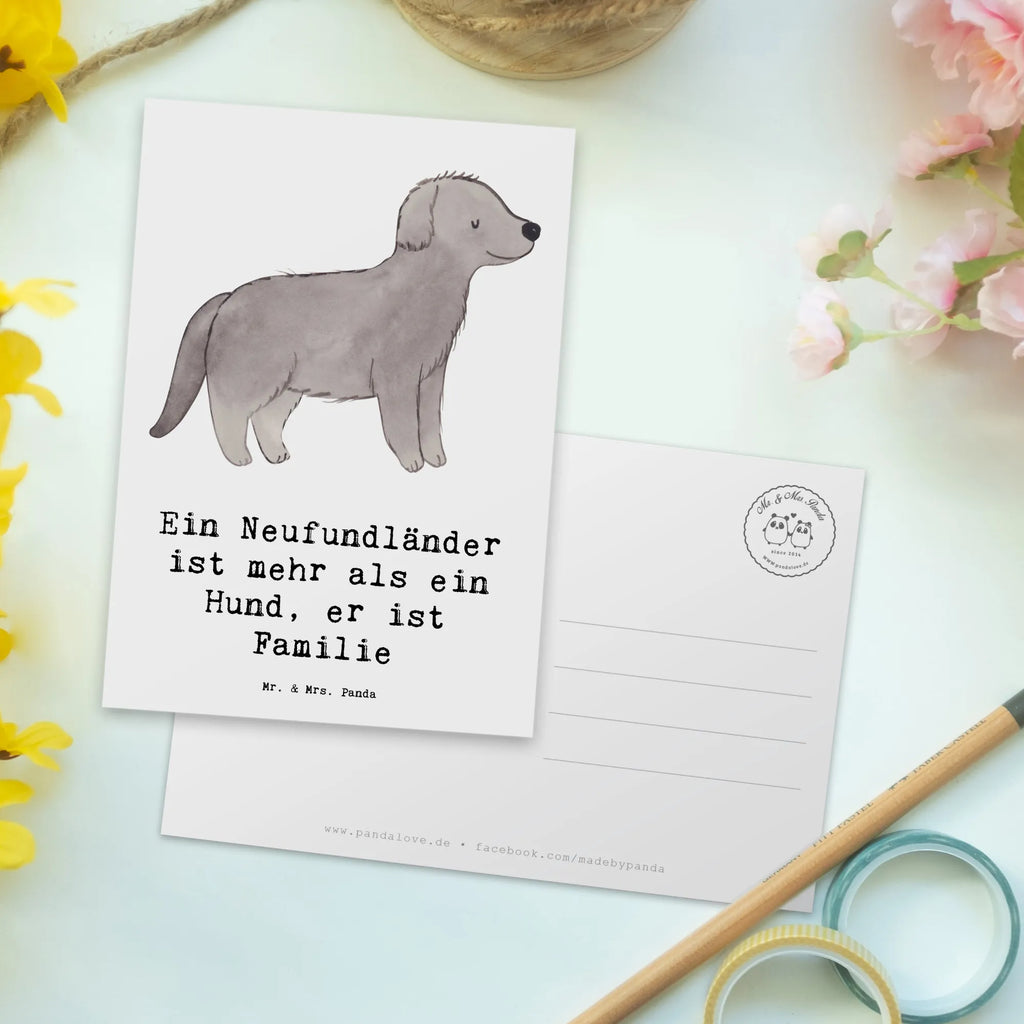 Postkarte Neufundländer Familie Postkarte, Karte, Geschenkkarte, Grußkarte, Einladung, Ansichtskarte, Geburtstagskarte, Einladungskarte, Dankeskarte, Ansichtskarten, Einladung Geburtstag, Einladungskarten Geburtstag, Hund, Hunderasse, Rassehund, Hundebesitzer, Geschenk, Tierfreund, Schenken, Welpe