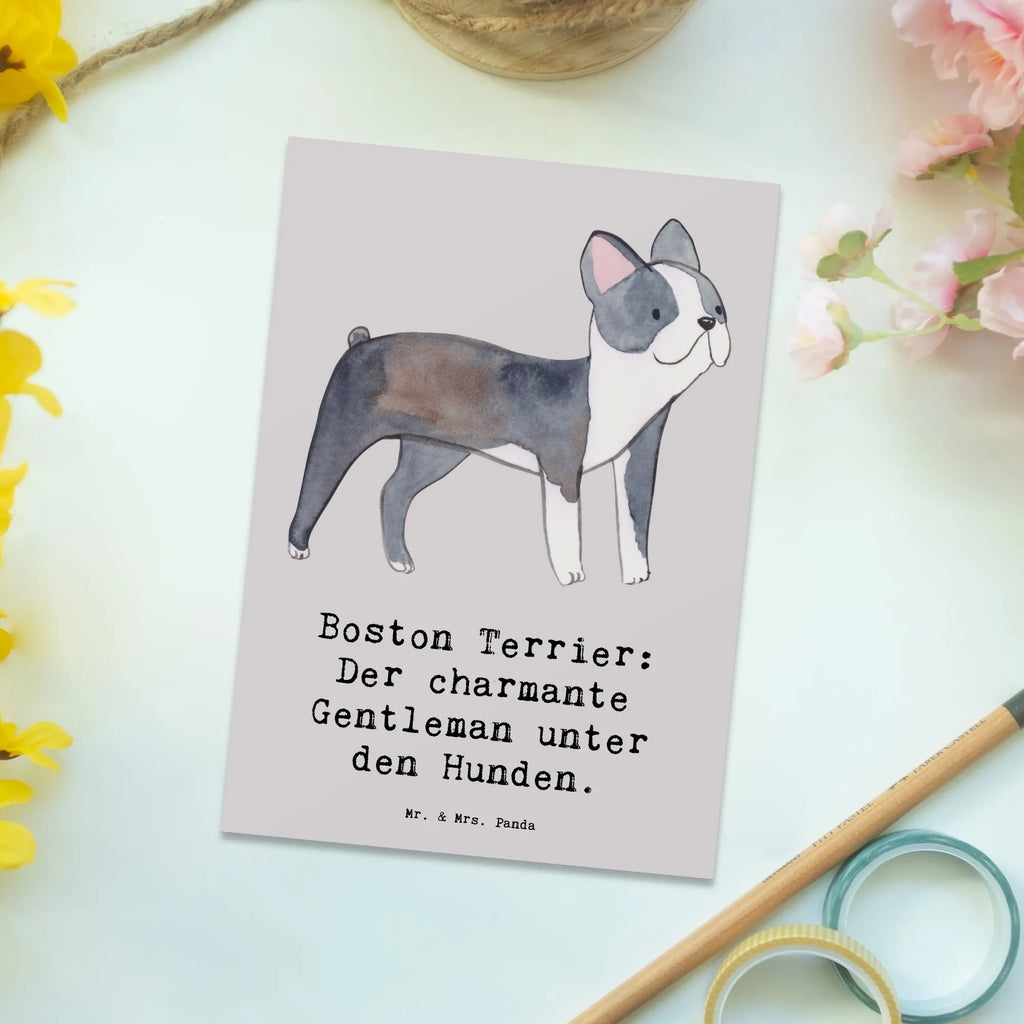 Postkarte Boston Terrier Gentleman Postkarte, Karte, Geschenkkarte, Grußkarte, Einladung, Ansichtskarte, Geburtstagskarte, Einladungskarte, Dankeskarte, Ansichtskarten, Einladung Geburtstag, Einladungskarten Geburtstag, Hund, Hunderasse, Rassehund, Hundebesitzer, Geschenk, Tierfreund, Schenken, Welpe