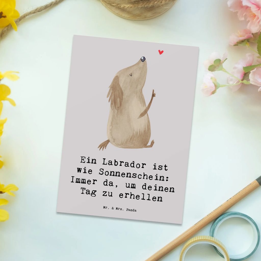 Postkarte Labrador Sonnenschein Postkarte, Karte, Geschenkkarte, Grußkarte, Einladung, Ansichtskarte, Geburtstagskarte, Einladungskarte, Dankeskarte, Ansichtskarten, Einladung Geburtstag, Einladungskarten Geburtstag, Hund, Hunderasse, Rassehund, Hundebesitzer, Geschenk, Tierfreund, Schenken, Welpe