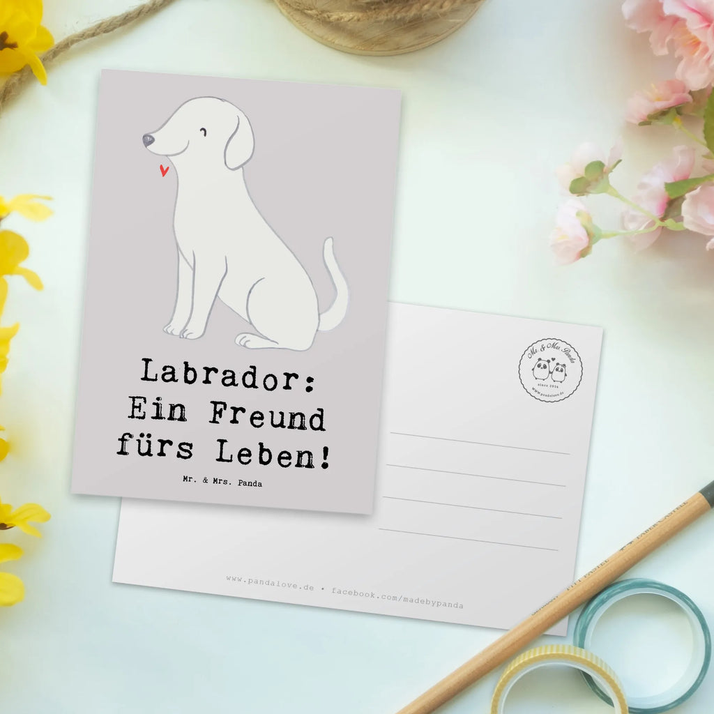 Postkarte Labrador Freund Postkarte, Karte, Geschenkkarte, Grußkarte, Einladung, Ansichtskarte, Geburtstagskarte, Einladungskarte, Dankeskarte, Ansichtskarten, Einladung Geburtstag, Einladungskarten Geburtstag, Hund, Hunderasse, Rassehund, Hundebesitzer, Geschenk, Tierfreund, Schenken, Welpe