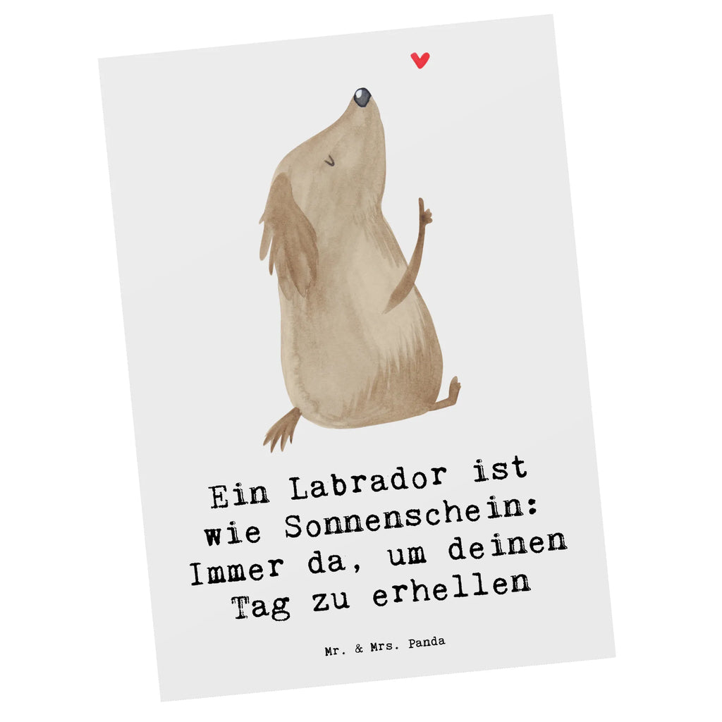 Postkarte Labrador Sonnenschein Postkarte, Karte, Geschenkkarte, Grußkarte, Einladung, Ansichtskarte, Geburtstagskarte, Einladungskarte, Dankeskarte, Ansichtskarten, Einladung Geburtstag, Einladungskarten Geburtstag, Hund, Hunderasse, Rassehund, Hundebesitzer, Geschenk, Tierfreund, Schenken, Welpe