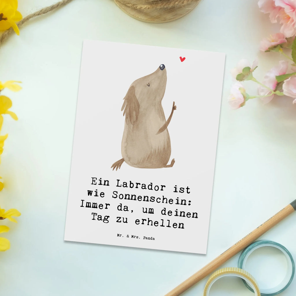 Postkarte Labrador Sonnenschein Postkarte, Karte, Geschenkkarte, Grußkarte, Einladung, Ansichtskarte, Geburtstagskarte, Einladungskarte, Dankeskarte, Ansichtskarten, Einladung Geburtstag, Einladungskarten Geburtstag, Hund, Hunderasse, Rassehund, Hundebesitzer, Geschenk, Tierfreund, Schenken, Welpe