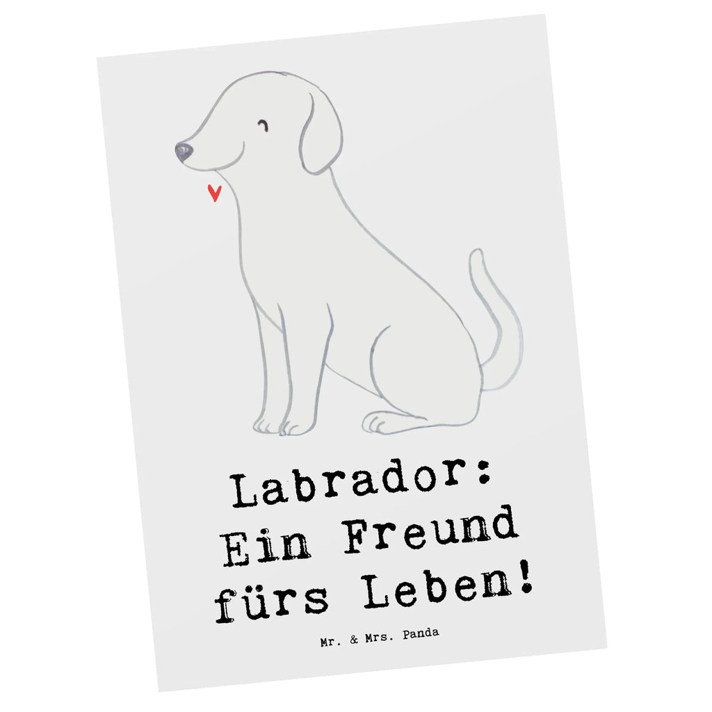 Postkarte Labrador Freund Postkarte, Karte, Geschenkkarte, Grußkarte, Einladung, Ansichtskarte, Geburtstagskarte, Einladungskarte, Dankeskarte, Ansichtskarten, Einladung Geburtstag, Einladungskarten Geburtstag, Hund, Hunderasse, Rassehund, Hundebesitzer, Geschenk, Tierfreund, Schenken, Welpe