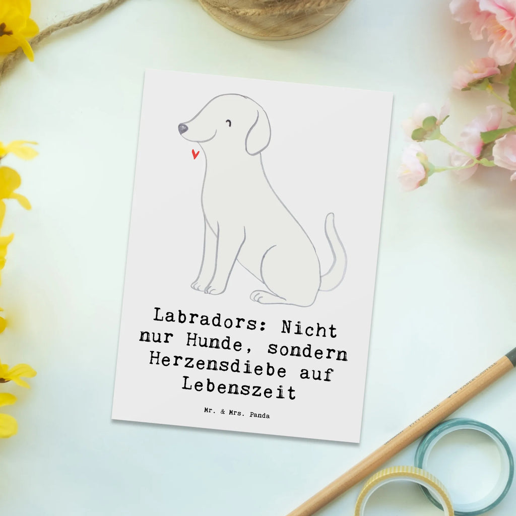 Postkarte Labrador Herzensdiebe Postkarte, Karte, Geschenkkarte, Grußkarte, Einladung, Ansichtskarte, Geburtstagskarte, Einladungskarte, Dankeskarte, Ansichtskarten, Einladung Geburtstag, Einladungskarten Geburtstag, Hund, Hunderasse, Rassehund, Hundebesitzer, Geschenk, Tierfreund, Schenken, Welpe