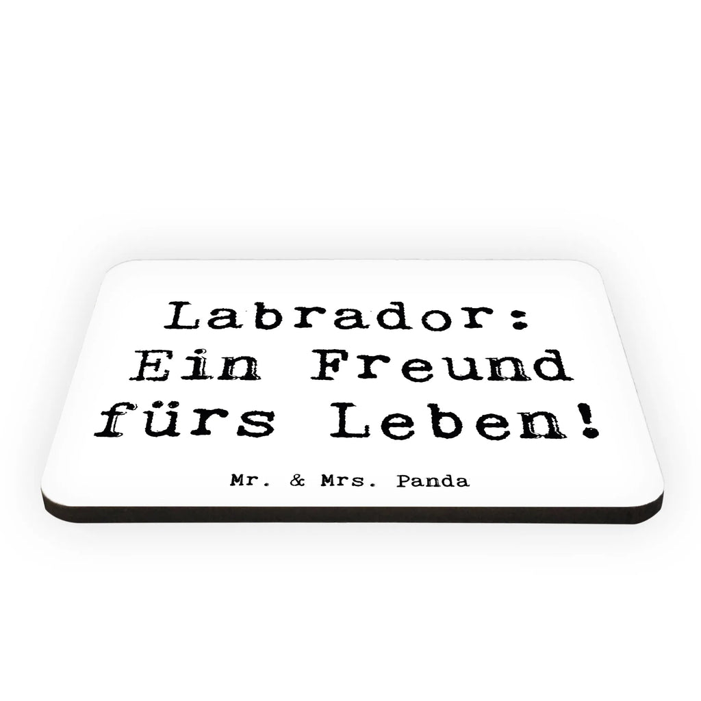 Magnet Spruch Labrador Freund Kühlschrankmagnet, Pinnwandmagnet, Souvenir Magnet, Motivmagnete, Dekomagnet, Whiteboard Magnet, Notiz Magnet, Kühlschrank Dekoration, Hund, Hunderasse, Rassehund, Hundebesitzer, Geschenk, Tierfreund, Schenken, Welpe