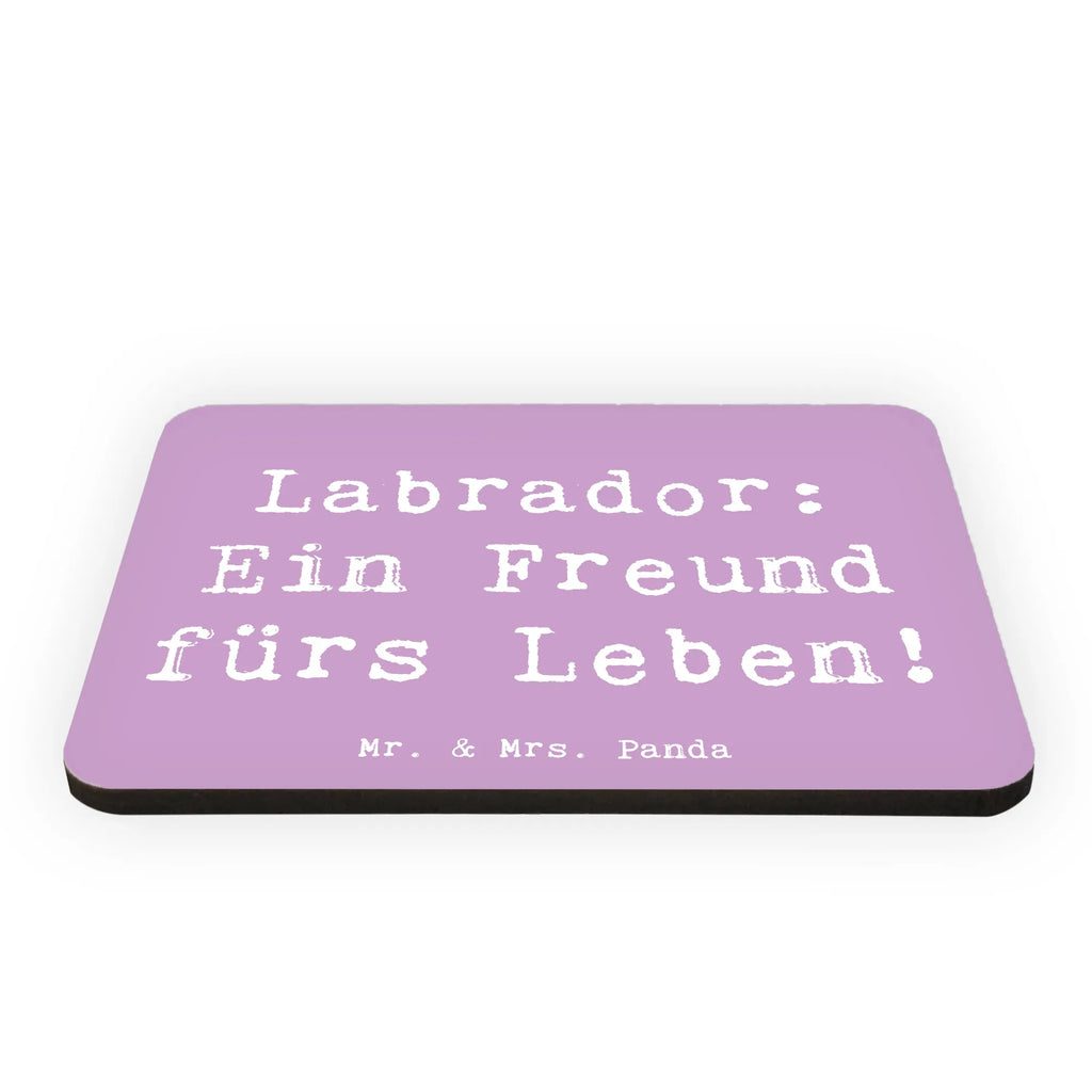 Magnet Spruch Labrador Freund Kühlschrankmagnet, Pinnwandmagnet, Souvenir Magnet, Motivmagnete, Dekomagnet, Whiteboard Magnet, Notiz Magnet, Kühlschrank Dekoration, Hund, Hunderasse, Rassehund, Hundebesitzer, Geschenk, Tierfreund, Schenken, Welpe