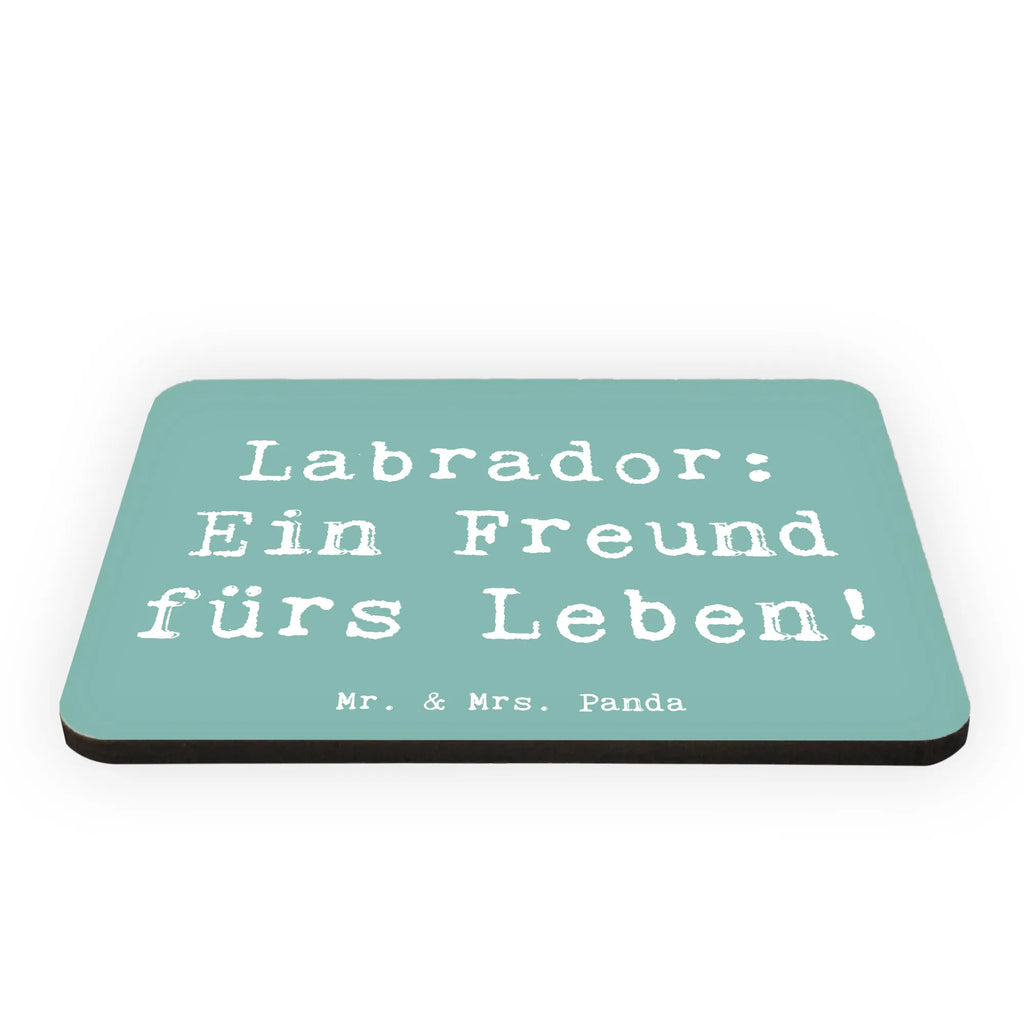 Magnet Spruch Labrador Freund Kühlschrankmagnet, Pinnwandmagnet, Souvenir Magnet, Motivmagnete, Dekomagnet, Whiteboard Magnet, Notiz Magnet, Kühlschrank Dekoration, Hund, Hunderasse, Rassehund, Hundebesitzer, Geschenk, Tierfreund, Schenken, Welpe