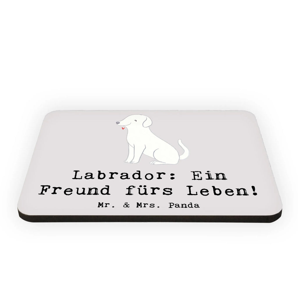 Magnet Labrador Freund Kühlschrankmagnet, Pinnwandmagnet, Souvenir Magnet, Motivmagnete, Dekomagnet, Whiteboard Magnet, Notiz Magnet, Kühlschrank Dekoration, Hund, Hunderasse, Rassehund, Hundebesitzer, Geschenk, Tierfreund, Schenken, Welpe