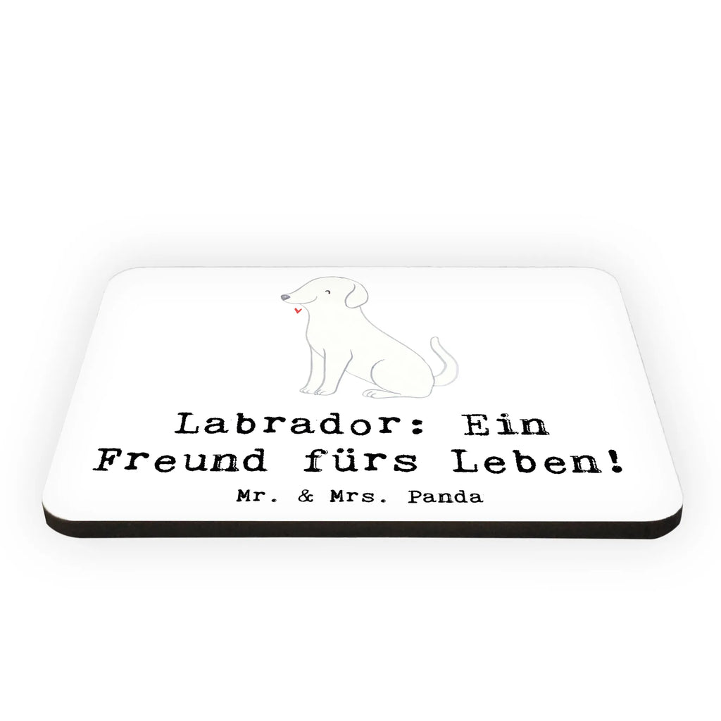 Magnet Labrador Freund Kühlschrankmagnet, Pinnwandmagnet, Souvenir Magnet, Motivmagnete, Dekomagnet, Whiteboard Magnet, Notiz Magnet, Kühlschrank Dekoration, Hund, Hunderasse, Rassehund, Hundebesitzer, Geschenk, Tierfreund, Schenken, Welpe