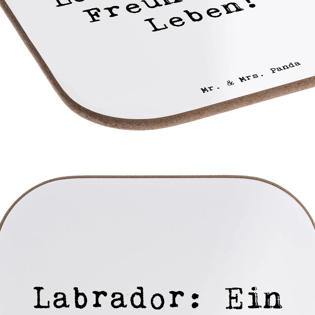 Untersetzer Spruch Labrador Freund Untersetzer, Bierdeckel, Glasuntersetzer, Untersetzer Gläser, Getränkeuntersetzer, Untersetzer aus Holz, Untersetzer für Gläser, Korkuntersetzer, Untersetzer Holz, Holzuntersetzer, Tassen Untersetzer, Untersetzer Design, Hund, Hunderasse, Rassehund, Hundebesitzer, Geschenk, Tierfreund, Schenken, Welpe