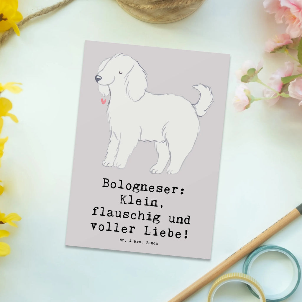 Postkarte Bologneser Liebe Postkarte, Karte, Geschenkkarte, Grußkarte, Einladung, Ansichtskarte, Geburtstagskarte, Einladungskarte, Dankeskarte, Ansichtskarten, Einladung Geburtstag, Einladungskarten Geburtstag, Hund, Hunderasse, Rassehund, Hundebesitzer, Geschenk, Tierfreund, Schenken, Welpe