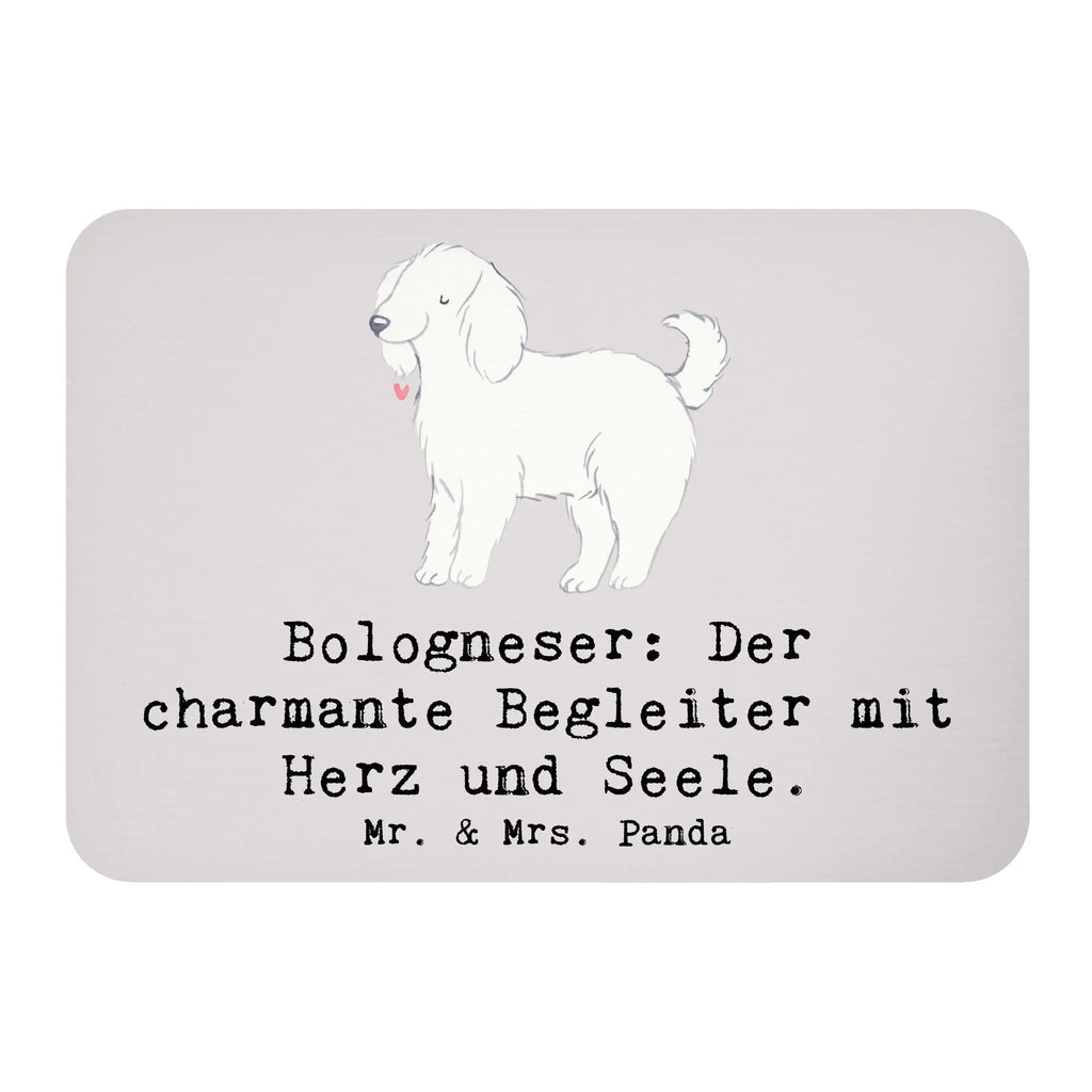 Magnet Bologneser Begleiter Kühlschrankmagnet, Pinnwandmagnet, Souvenir Magnet, Motivmagnete, Dekomagnet, Whiteboard Magnet, Notiz Magnet, Kühlschrank Dekoration, Hund, Hunderasse, Rassehund, Hundebesitzer, Geschenk, Tierfreund, Schenken, Welpe