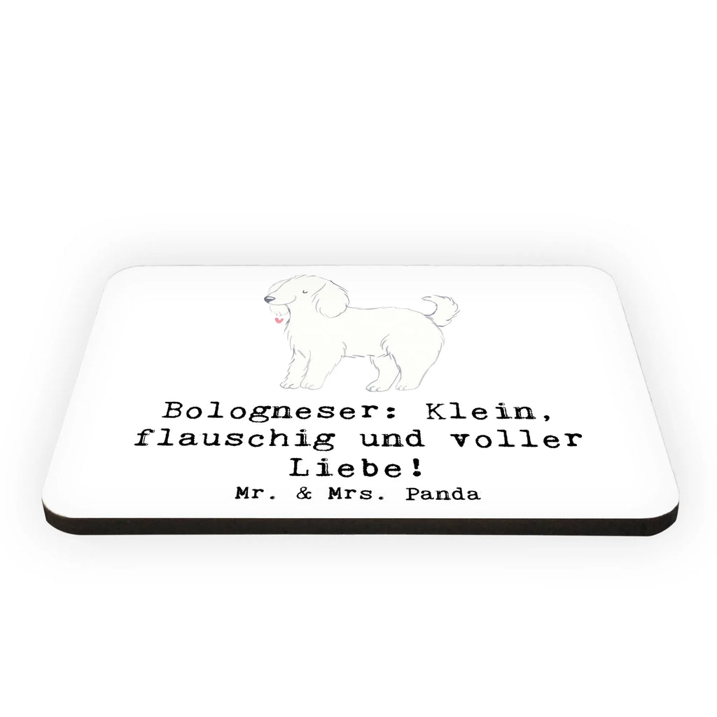 Magnet Bologneser Liebe Kühlschrankmagnet, Pinnwandmagnet, Souvenir Magnet, Motivmagnete, Dekomagnet, Whiteboard Magnet, Notiz Magnet, Kühlschrank Dekoration, Hund, Hunderasse, Rassehund, Hundebesitzer, Geschenk, Tierfreund, Schenken, Welpe