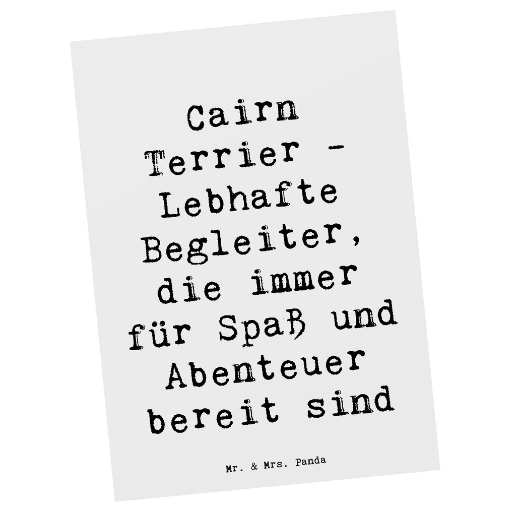 Postkarte Spruch Cairn Terrier Begleiter Postkarte, Karte, Geschenkkarte, Grußkarte, Einladung, Ansichtskarte, Geburtstagskarte, Einladungskarte, Dankeskarte, Ansichtskarten, Einladung Geburtstag, Einladungskarten Geburtstag, Hund, Hunderasse, Rassehund, Hundebesitzer, Geschenk, Tierfreund, Schenken, Welpe