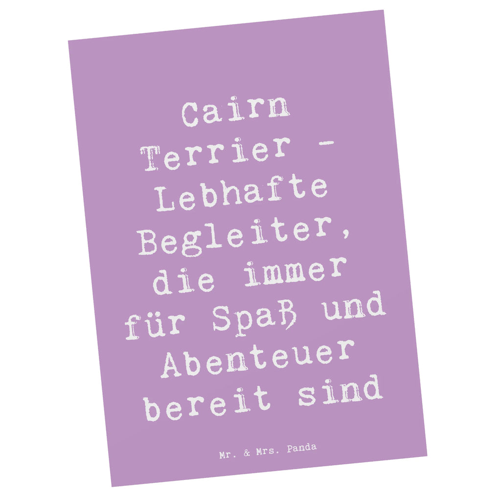 Postkarte Spruch Cairn Terrier Begleiter Postkarte, Karte, Geschenkkarte, Grußkarte, Einladung, Ansichtskarte, Geburtstagskarte, Einladungskarte, Dankeskarte, Ansichtskarten, Einladung Geburtstag, Einladungskarten Geburtstag, Hund, Hunderasse, Rassehund, Hundebesitzer, Geschenk, Tierfreund, Schenken, Welpe