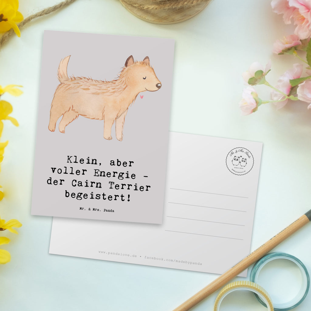 Postkarte Cairn Terrier Postkarte, Karte, Geschenkkarte, Grußkarte, Einladung, Ansichtskarte, Geburtstagskarte, Einladungskarte, Dankeskarte, Ansichtskarten, Einladung Geburtstag, Einladungskarten Geburtstag, Hund, Hunderasse, Rassehund, Hundebesitzer, Geschenk, Tierfreund, Schenken, Welpe