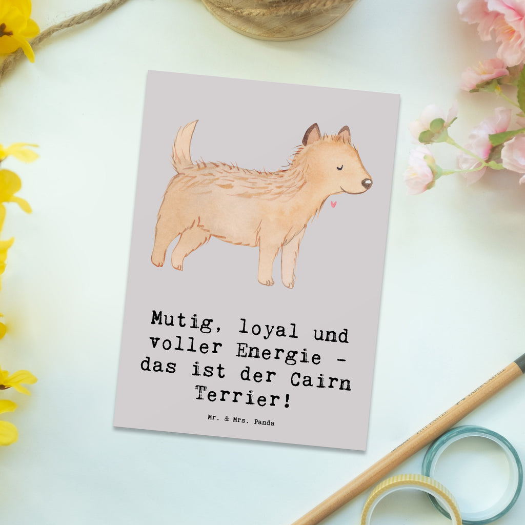 Postkarte Mutiger Cairn Terrier Postkarte, Karte, Geschenkkarte, Grußkarte, Einladung, Ansichtskarte, Geburtstagskarte, Einladungskarte, Dankeskarte, Ansichtskarten, Einladung Geburtstag, Einladungskarten Geburtstag, Hund, Hunderasse, Rassehund, Hundebesitzer, Geschenk, Tierfreund, Schenken, Welpe