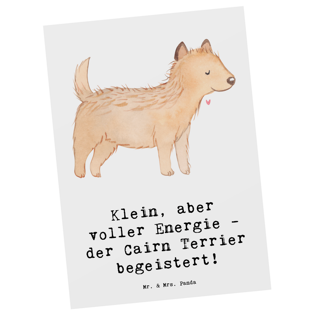 Postkarte Cairn Terrier Postkarte, Karte, Geschenkkarte, Grußkarte, Einladung, Ansichtskarte, Geburtstagskarte, Einladungskarte, Dankeskarte, Ansichtskarten, Einladung Geburtstag, Einladungskarten Geburtstag, Hund, Hunderasse, Rassehund, Hundebesitzer, Geschenk, Tierfreund, Schenken, Welpe