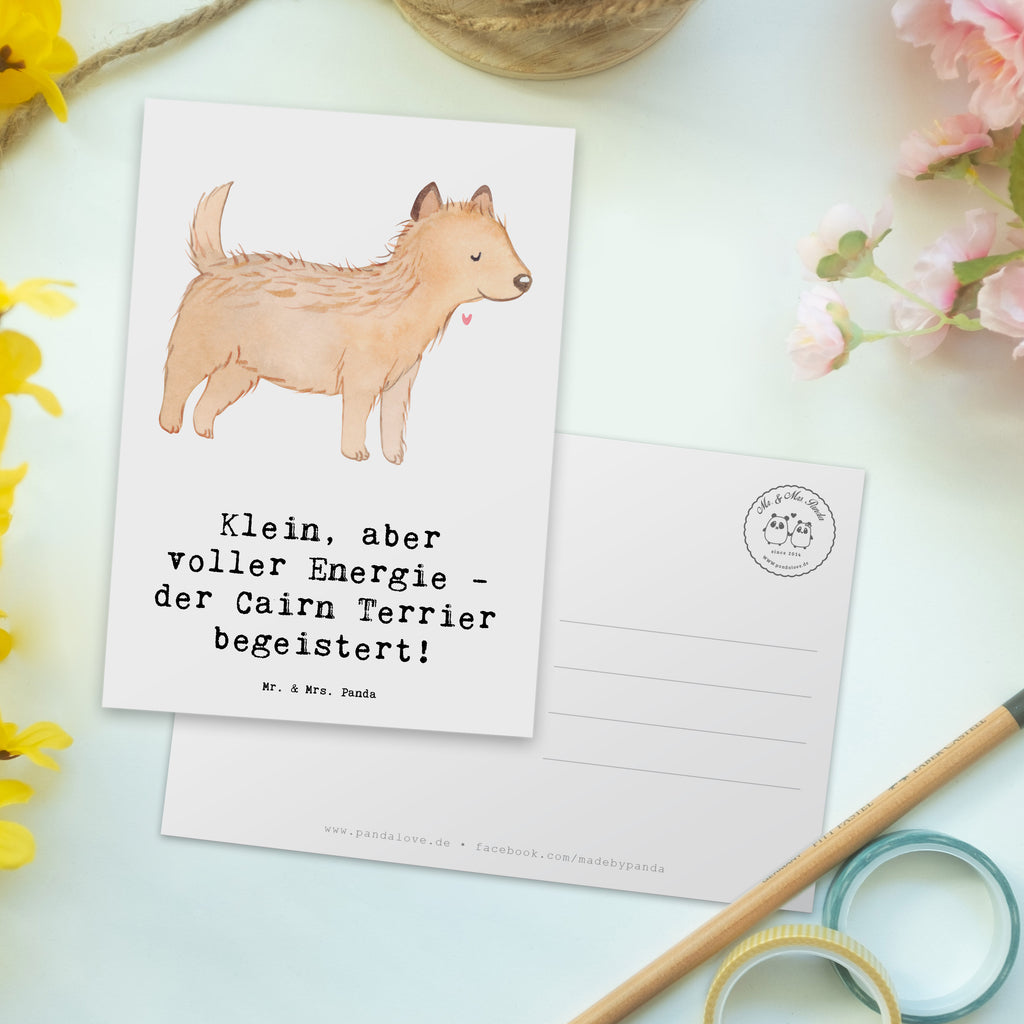 Postkarte Cairn Terrier Postkarte, Karte, Geschenkkarte, Grußkarte, Einladung, Ansichtskarte, Geburtstagskarte, Einladungskarte, Dankeskarte, Ansichtskarten, Einladung Geburtstag, Einladungskarten Geburtstag, Hund, Hunderasse, Rassehund, Hundebesitzer, Geschenk, Tierfreund, Schenken, Welpe