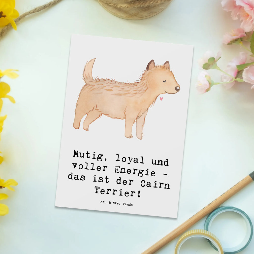 Postkarte Mutiger Cairn Terrier Postkarte, Karte, Geschenkkarte, Grußkarte, Einladung, Ansichtskarte, Geburtstagskarte, Einladungskarte, Dankeskarte, Ansichtskarten, Einladung Geburtstag, Einladungskarten Geburtstag, Hund, Hunderasse, Rassehund, Hundebesitzer, Geschenk, Tierfreund, Schenken, Welpe