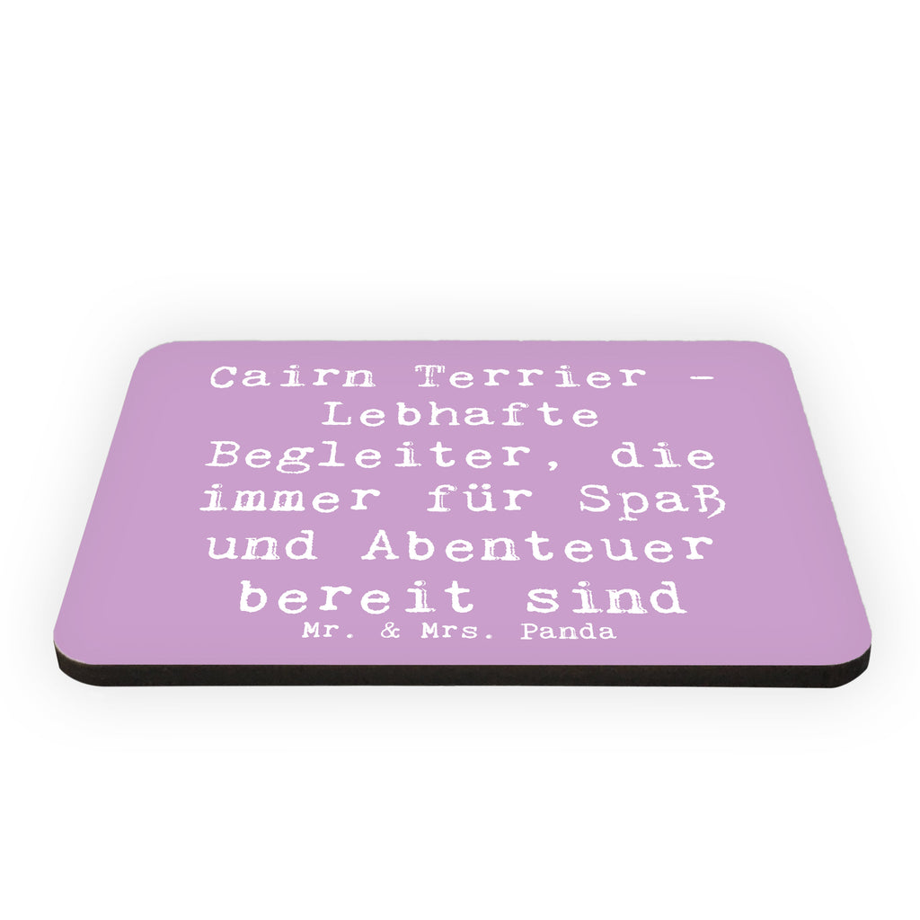 Magnet Spruch Cairn Terrier Begleiter Kühlschrankmagnet, Pinnwandmagnet, Souvenir Magnet, Motivmagnete, Dekomagnet, Whiteboard Magnet, Notiz Magnet, Kühlschrank Dekoration, Hund, Hunderasse, Rassehund, Hundebesitzer, Geschenk, Tierfreund, Schenken, Welpe