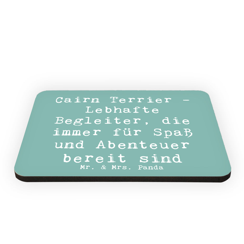 Magnet Spruch Cairn Terrier Begleiter Kühlschrankmagnet, Pinnwandmagnet, Souvenir Magnet, Motivmagnete, Dekomagnet, Whiteboard Magnet, Notiz Magnet, Kühlschrank Dekoration, Hund, Hunderasse, Rassehund, Hundebesitzer, Geschenk, Tierfreund, Schenken, Welpe