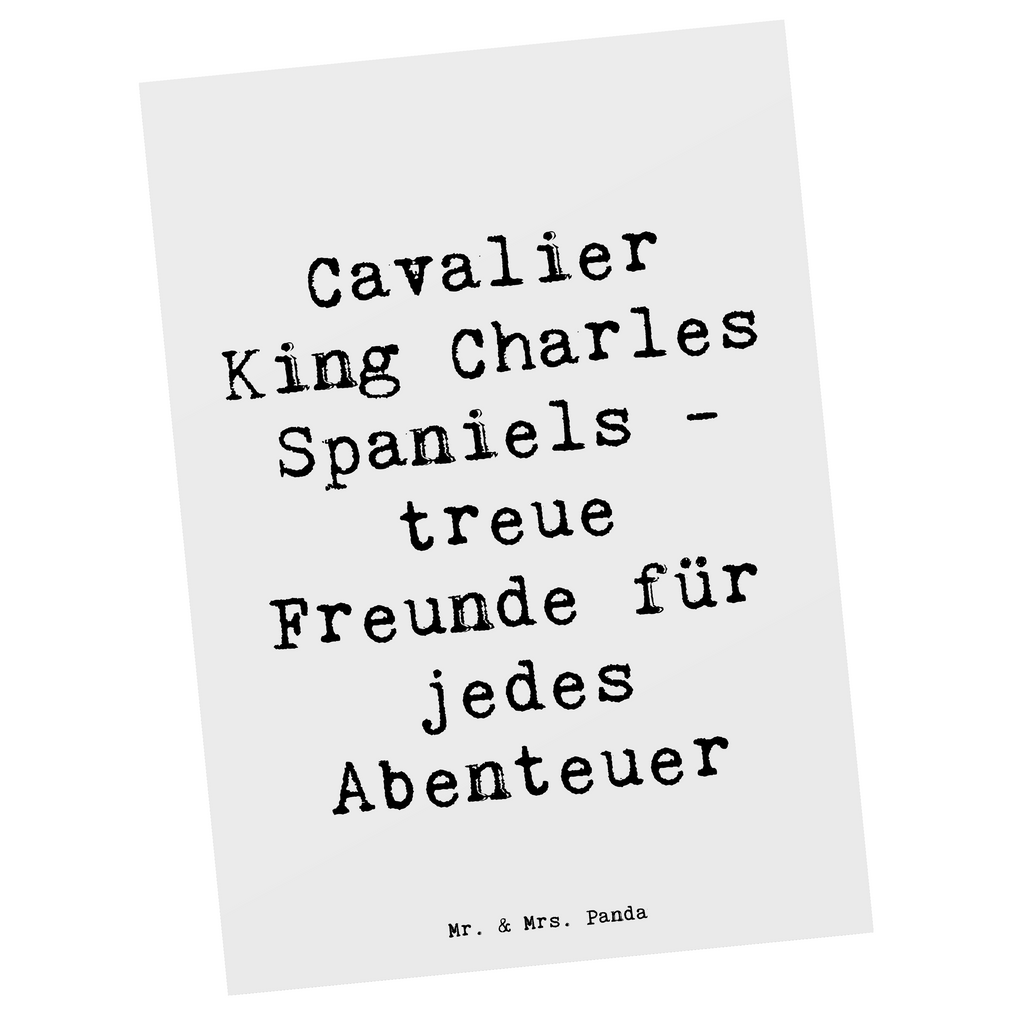 Postkarte Spruch Cavalier King Charles Spaniel Freunde Postkarte, Karte, Geschenkkarte, Grußkarte, Einladung, Ansichtskarte, Geburtstagskarte, Einladungskarte, Dankeskarte, Ansichtskarten, Einladung Geburtstag, Einladungskarten Geburtstag, Hund, Hunderasse, Rassehund, Hundebesitzer, Geschenk, Tierfreund, Schenken, Welpe