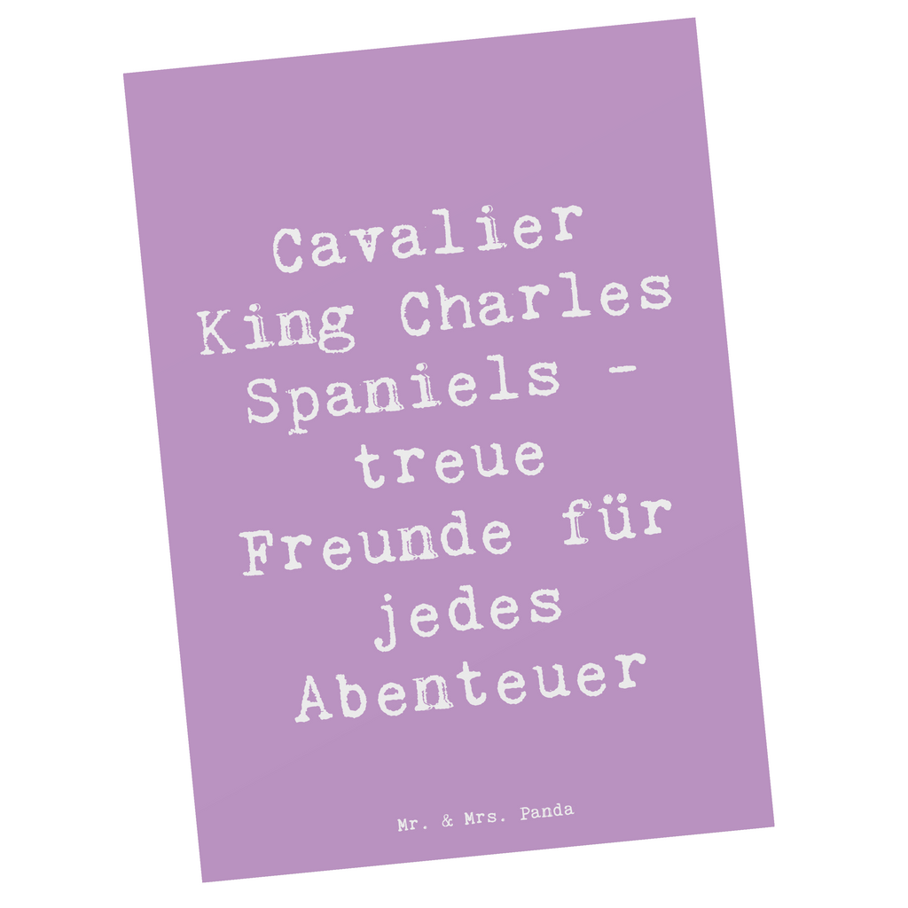 Postkarte Spruch Cavalier King Charles Spaniel Freunde Postkarte, Karte, Geschenkkarte, Grußkarte, Einladung, Ansichtskarte, Geburtstagskarte, Einladungskarte, Dankeskarte, Ansichtskarten, Einladung Geburtstag, Einladungskarten Geburtstag, Hund, Hunderasse, Rassehund, Hundebesitzer, Geschenk, Tierfreund, Schenken, Welpe