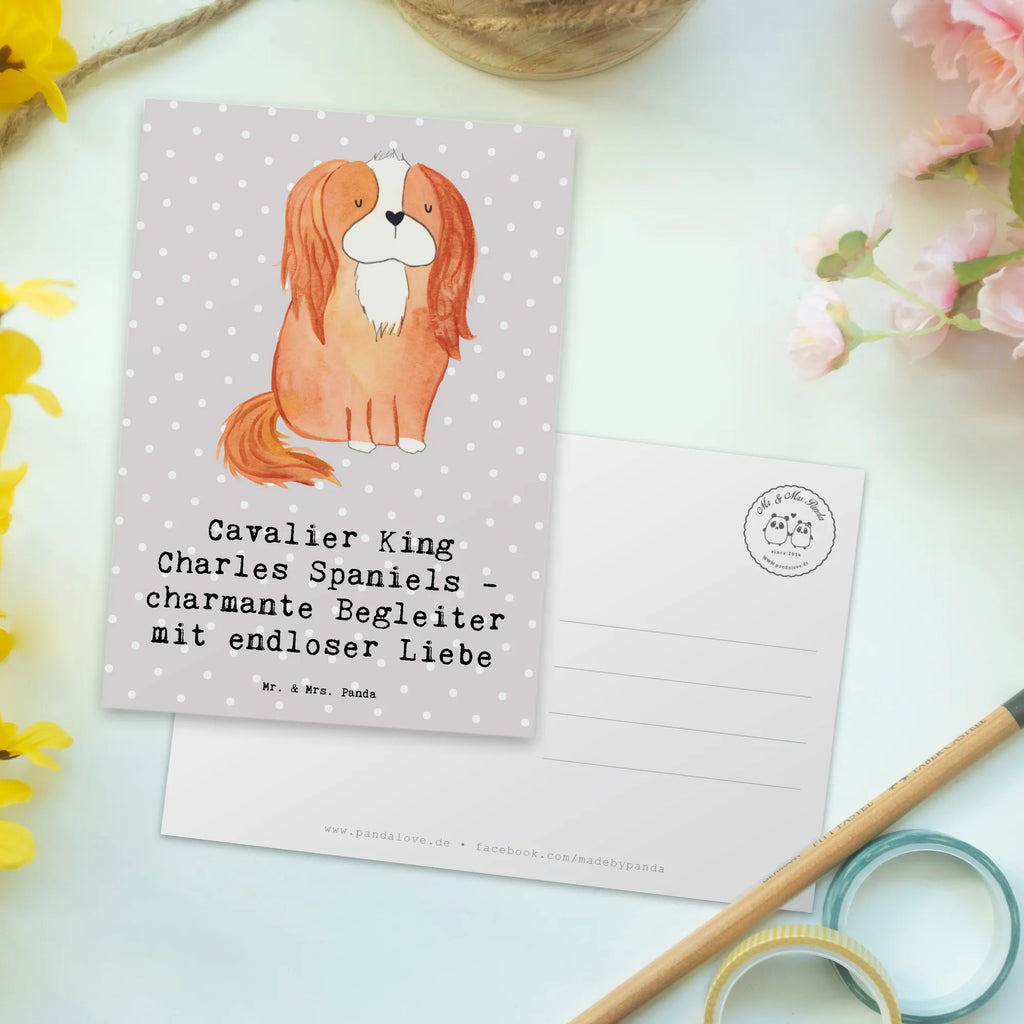 Postkarte Cavalier King Charles Spaniel Begleiter Postkarte, Karte, Geschenkkarte, Grußkarte, Einladung, Ansichtskarte, Geburtstagskarte, Einladungskarte, Dankeskarte, Ansichtskarten, Einladung Geburtstag, Einladungskarten Geburtstag, Hund, Hunderasse, Rassehund, Hundebesitzer, Geschenk, Tierfreund, Schenken, Welpe