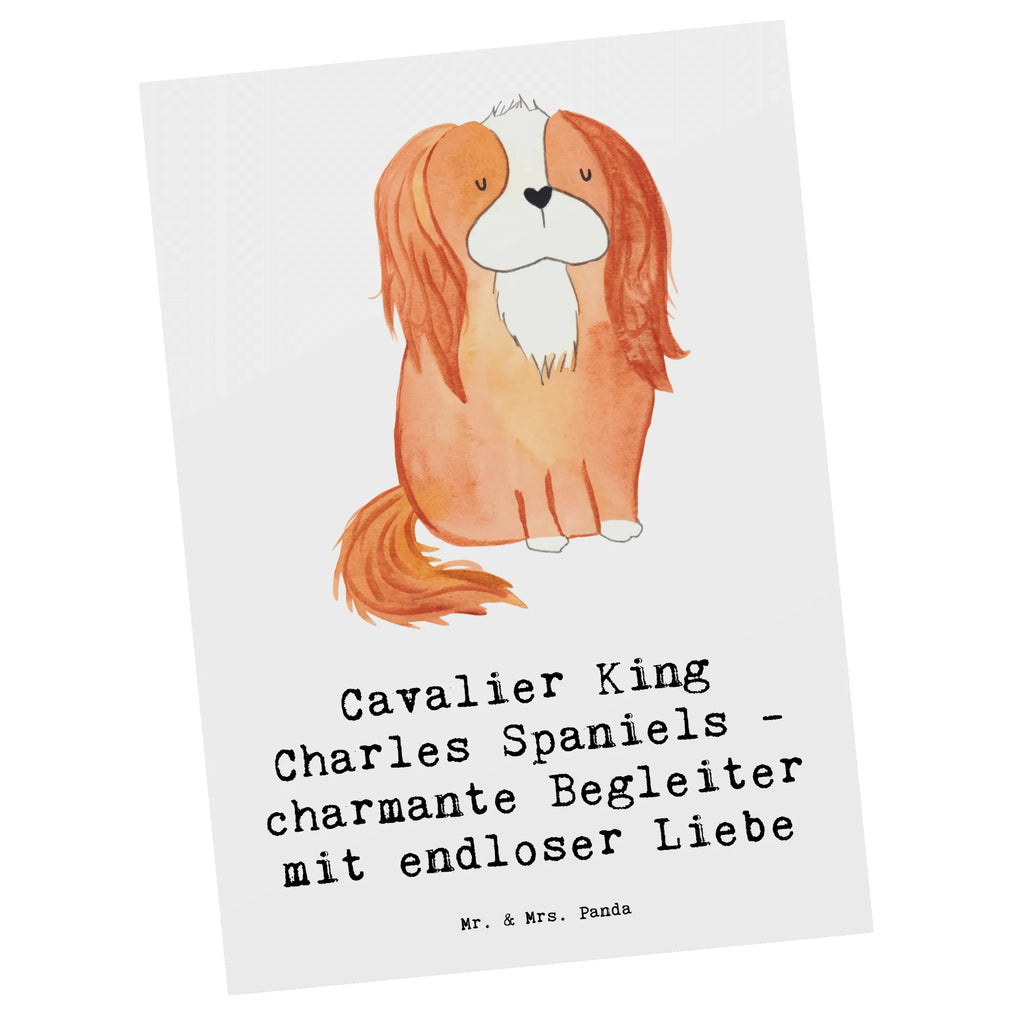 Postkarte Cavalier King Charles Spaniel Begleiter Postkarte, Karte, Geschenkkarte, Grußkarte, Einladung, Ansichtskarte, Geburtstagskarte, Einladungskarte, Dankeskarte, Ansichtskarten, Einladung Geburtstag, Einladungskarten Geburtstag, Hund, Hunderasse, Rassehund, Hundebesitzer, Geschenk, Tierfreund, Schenken, Welpe