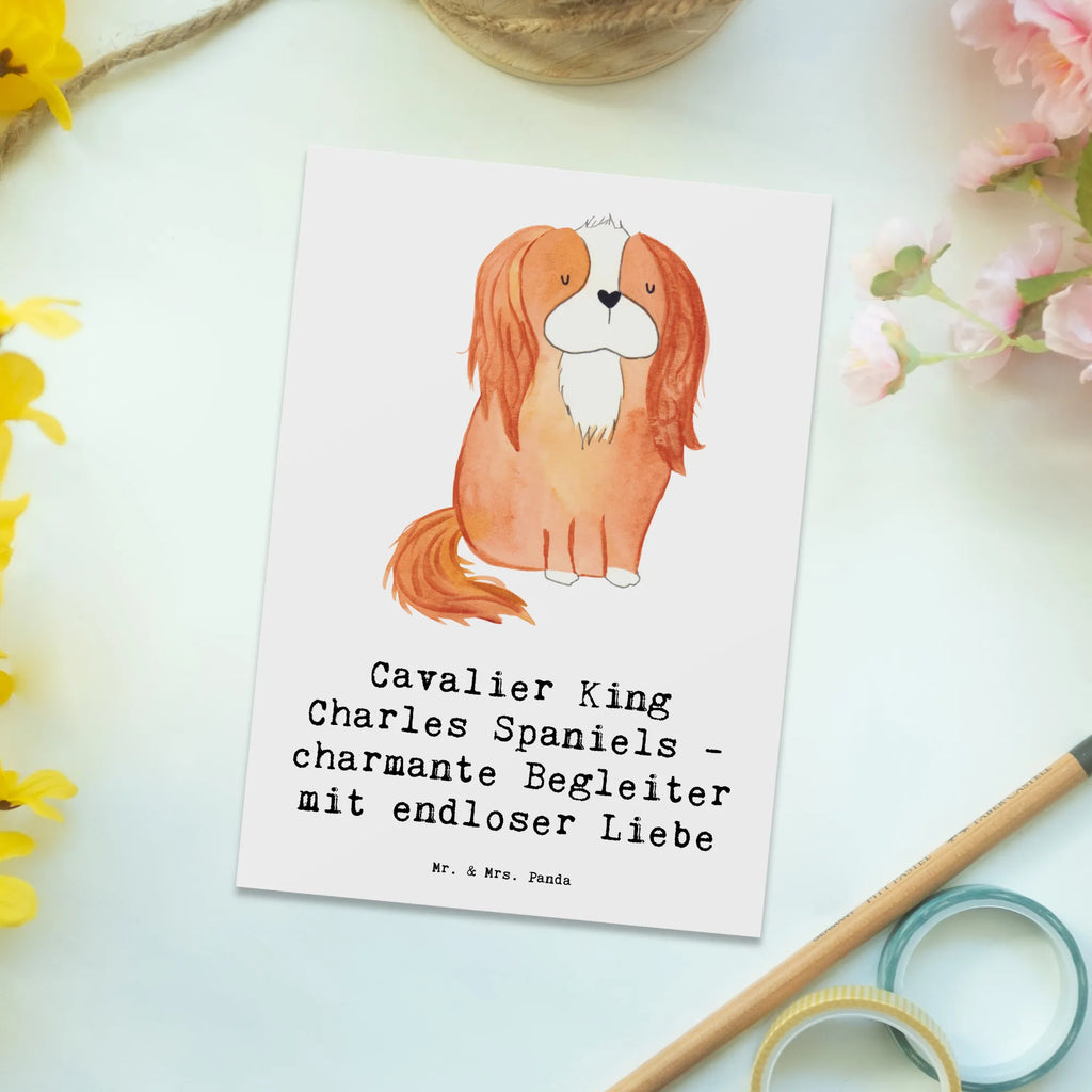 Postkarte Cavalier King Charles Spaniel Begleiter Postkarte, Karte, Geschenkkarte, Grußkarte, Einladung, Ansichtskarte, Geburtstagskarte, Einladungskarte, Dankeskarte, Ansichtskarten, Einladung Geburtstag, Einladungskarten Geburtstag, Hund, Hunderasse, Rassehund, Hundebesitzer, Geschenk, Tierfreund, Schenken, Welpe