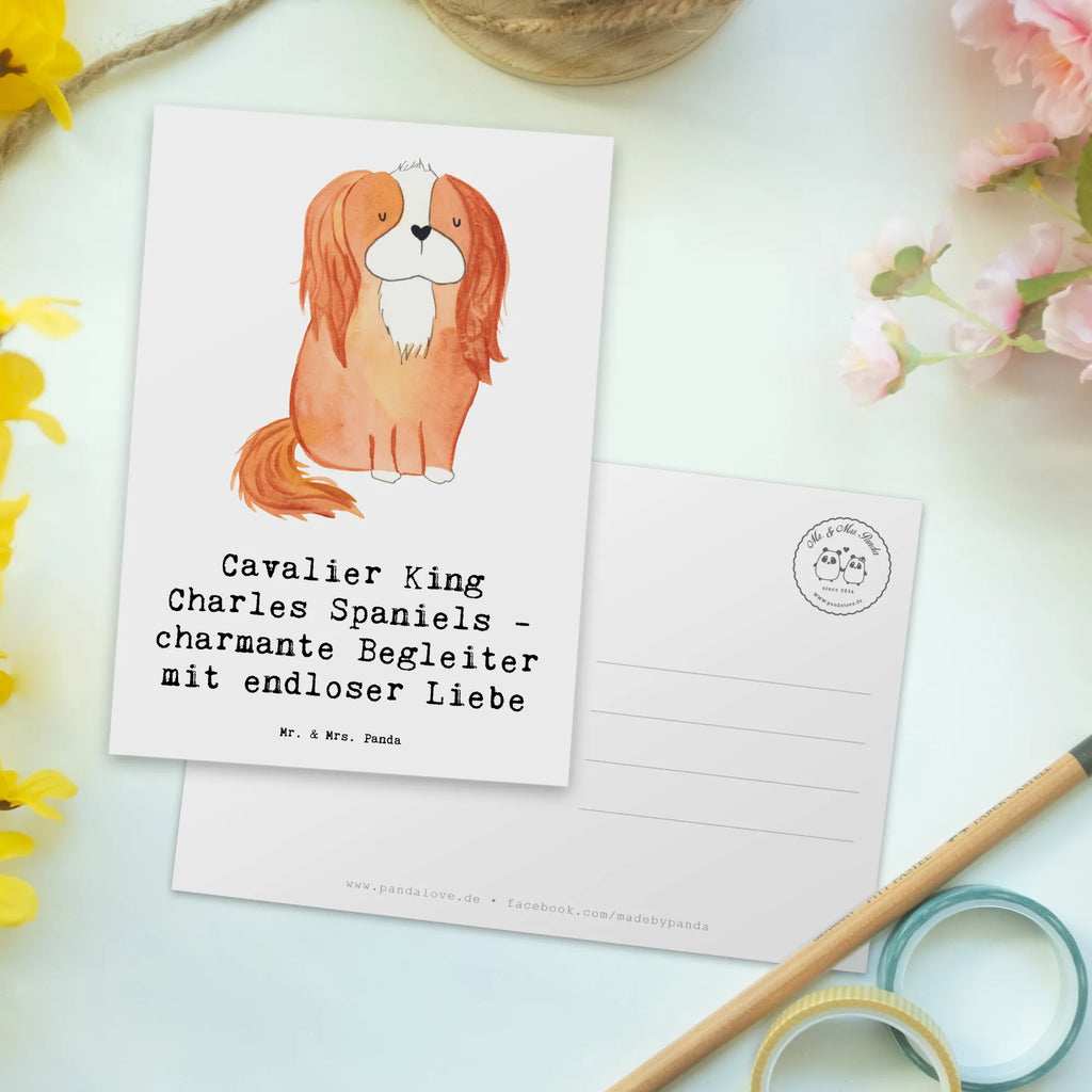 Postkarte Cavalier King Charles Spaniel Begleiter Postkarte, Karte, Geschenkkarte, Grußkarte, Einladung, Ansichtskarte, Geburtstagskarte, Einladungskarte, Dankeskarte, Ansichtskarten, Einladung Geburtstag, Einladungskarten Geburtstag, Hund, Hunderasse, Rassehund, Hundebesitzer, Geschenk, Tierfreund, Schenken, Welpe