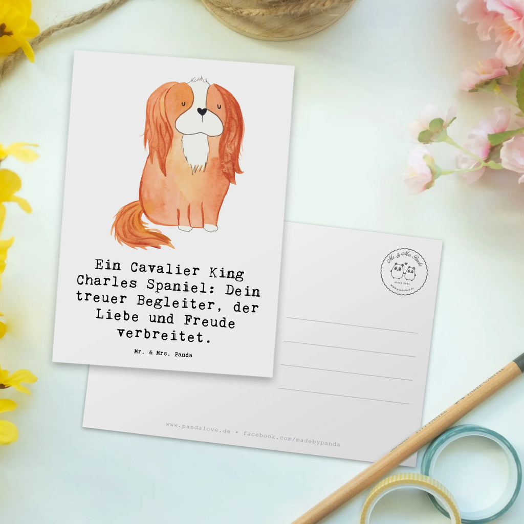 Postkarte Cavalier King Charles Spaniel Postkarte, Karte, Geschenkkarte, Grußkarte, Einladung, Ansichtskarte, Geburtstagskarte, Einladungskarte, Dankeskarte, Ansichtskarten, Einladung Geburtstag, Einladungskarten Geburtstag, Hund, Hunderasse, Rassehund, Hundebesitzer, Geschenk, Tierfreund, Schenken, Welpe