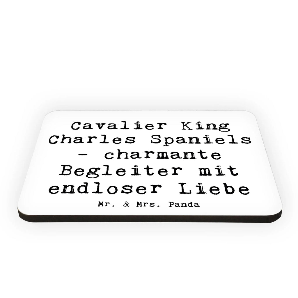 Magnet Spruch Cavalier King Charles Spaniel Begleiter Kühlschrankmagnet, Pinnwandmagnet, Souvenir Magnet, Motivmagnete, Dekomagnet, Whiteboard Magnet, Notiz Magnet, Kühlschrank Dekoration, Hund, Hunderasse, Rassehund, Hundebesitzer, Geschenk, Tierfreund, Schenken, Welpe