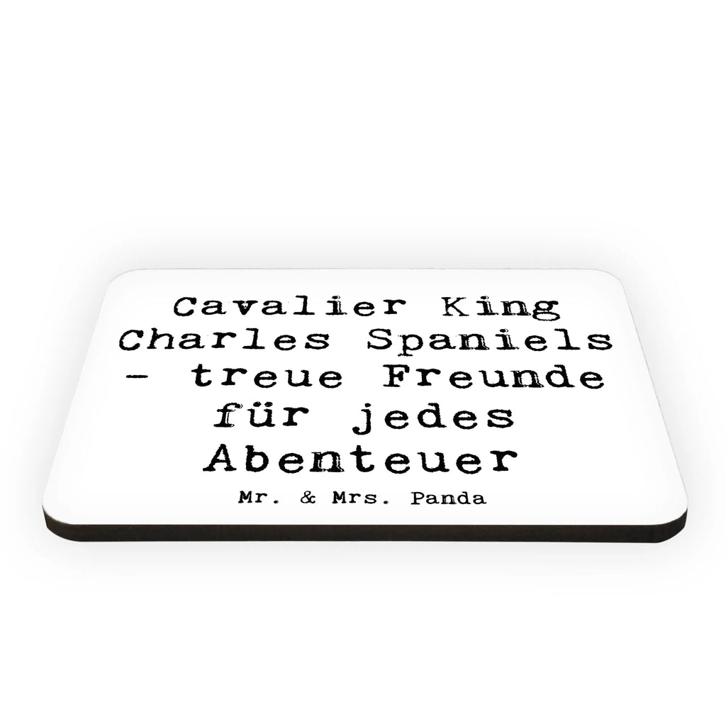 Magnet Spruch Cavalier King Charles Spaniel Freunde Kühlschrankmagnet, Pinnwandmagnet, Souvenir Magnet, Motivmagnete, Dekomagnet, Whiteboard Magnet, Notiz Magnet, Kühlschrank Dekoration, Hund, Hunderasse, Rassehund, Hundebesitzer, Geschenk, Tierfreund, Schenken, Welpe