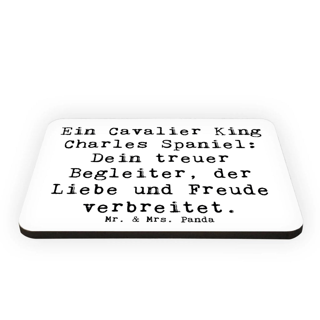 Magnet Spruch Cavalier King Charles Spaniel Kühlschrankmagnet, Pinnwandmagnet, Souvenir Magnet, Motivmagnete, Dekomagnet, Whiteboard Magnet, Notiz Magnet, Kühlschrank Dekoration, Hund, Hunderasse, Rassehund, Hundebesitzer, Geschenk, Tierfreund, Schenken, Welpe