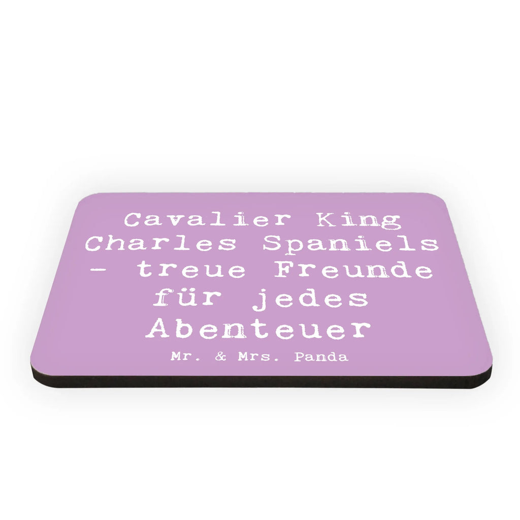 Magnet Spruch Cavalier King Charles Spaniel Freunde Kühlschrankmagnet, Pinnwandmagnet, Souvenir Magnet, Motivmagnete, Dekomagnet, Whiteboard Magnet, Notiz Magnet, Kühlschrank Dekoration, Hund, Hunderasse, Rassehund, Hundebesitzer, Geschenk, Tierfreund, Schenken, Welpe