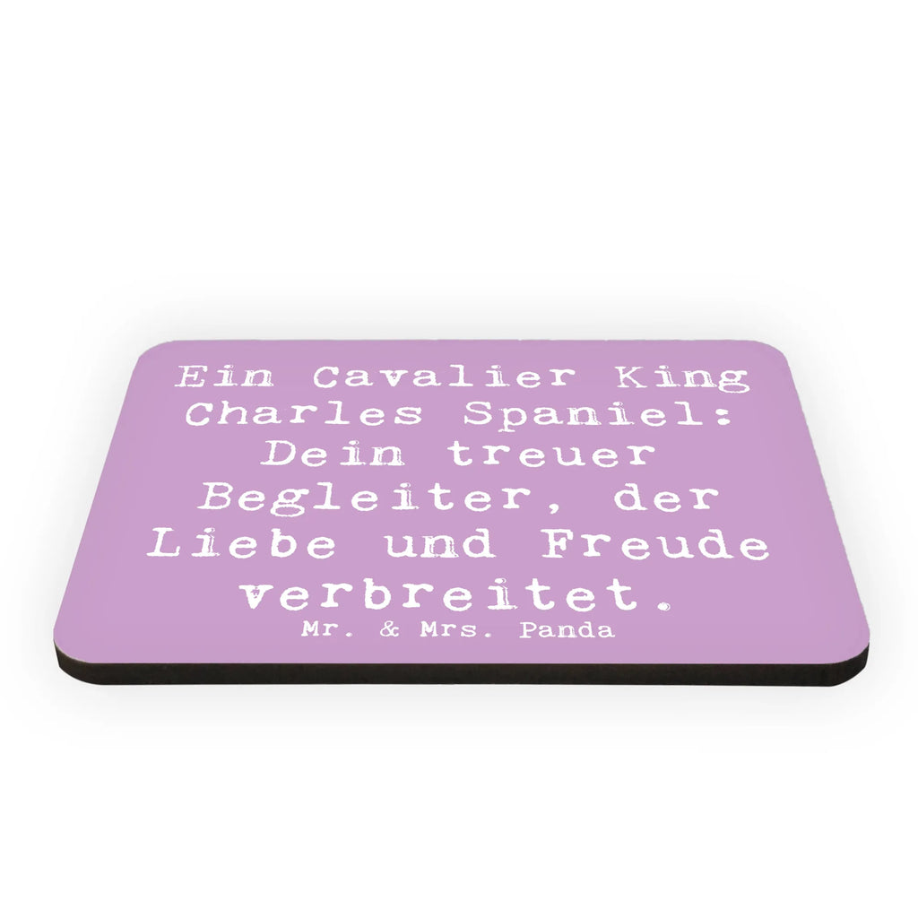 Magnet Spruch Cavalier King Charles Spaniel Kühlschrankmagnet, Pinnwandmagnet, Souvenir Magnet, Motivmagnete, Dekomagnet, Whiteboard Magnet, Notiz Magnet, Kühlschrank Dekoration, Hund, Hunderasse, Rassehund, Hundebesitzer, Geschenk, Tierfreund, Schenken, Welpe